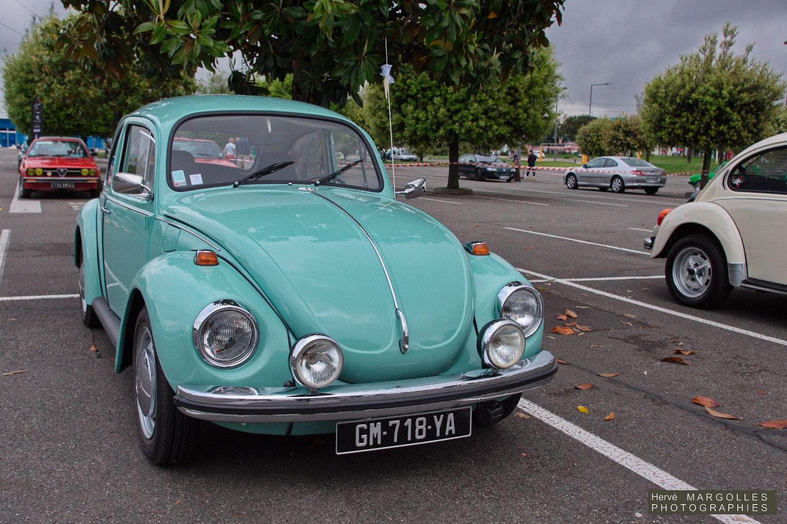 VW Cox-02.jpg